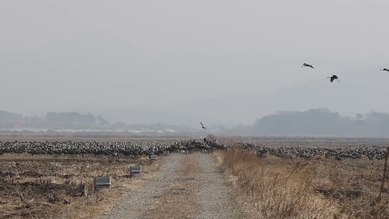 고향 기기전에...