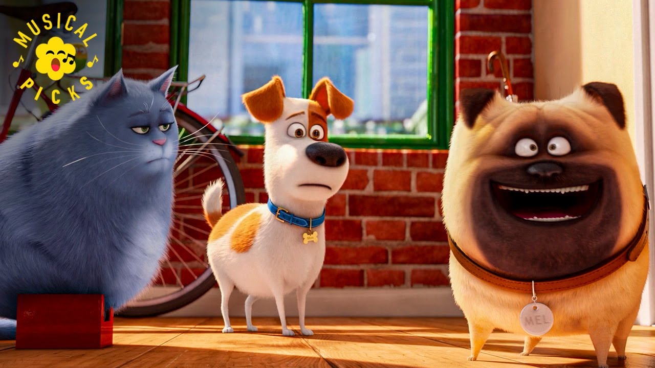 Welcome to New York (Taylor Swift) - Meet The Pets | The Secret Life of Pets