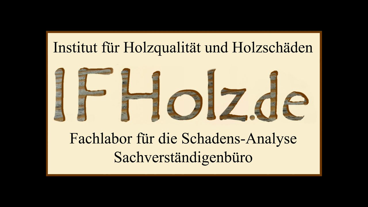 Hausschwamm versus Hausfäulepilze