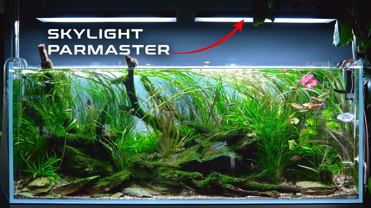 Exceptional Nature Aquariums at Liquid Nature Vienna aquarium store!