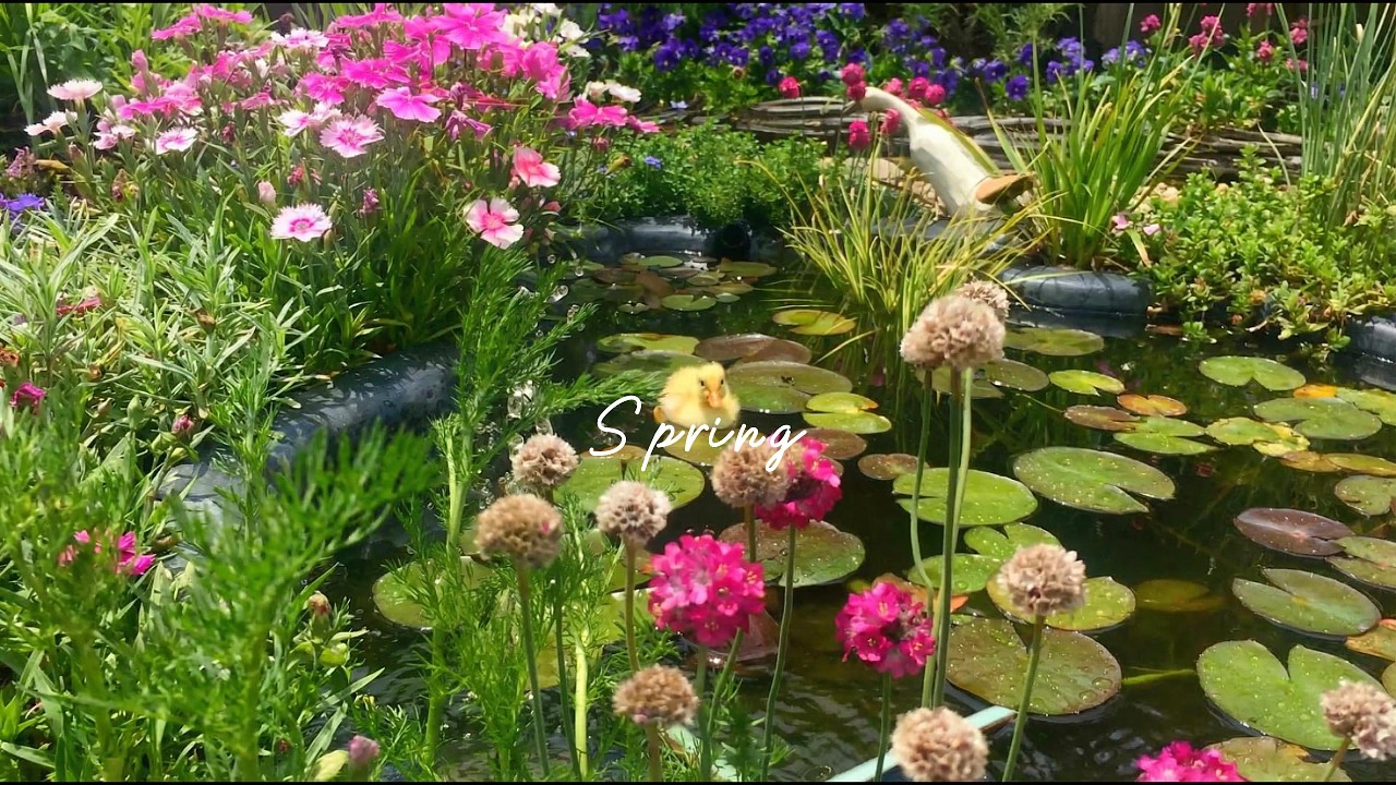 a spring piano playlist 🌸 nature ambience for peaceful moments