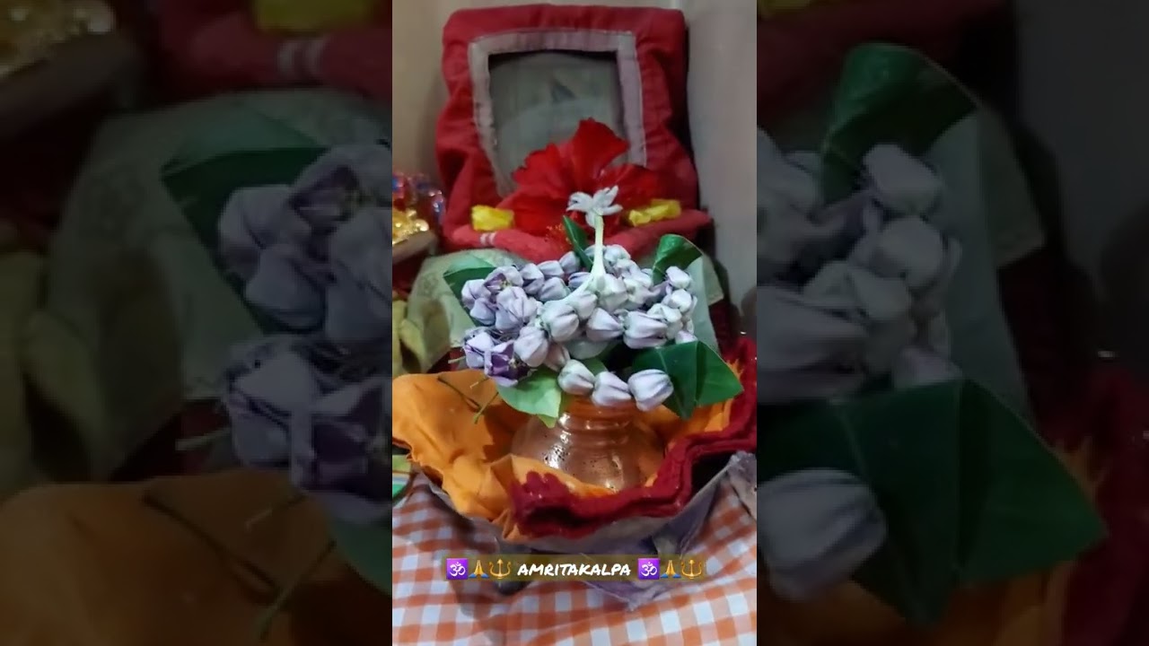 #amritakalpa