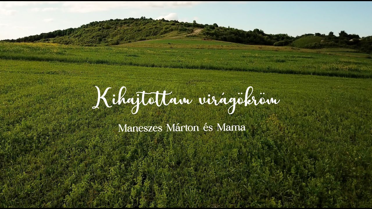 Kihajtottam virágökröm: Maneszes Márton