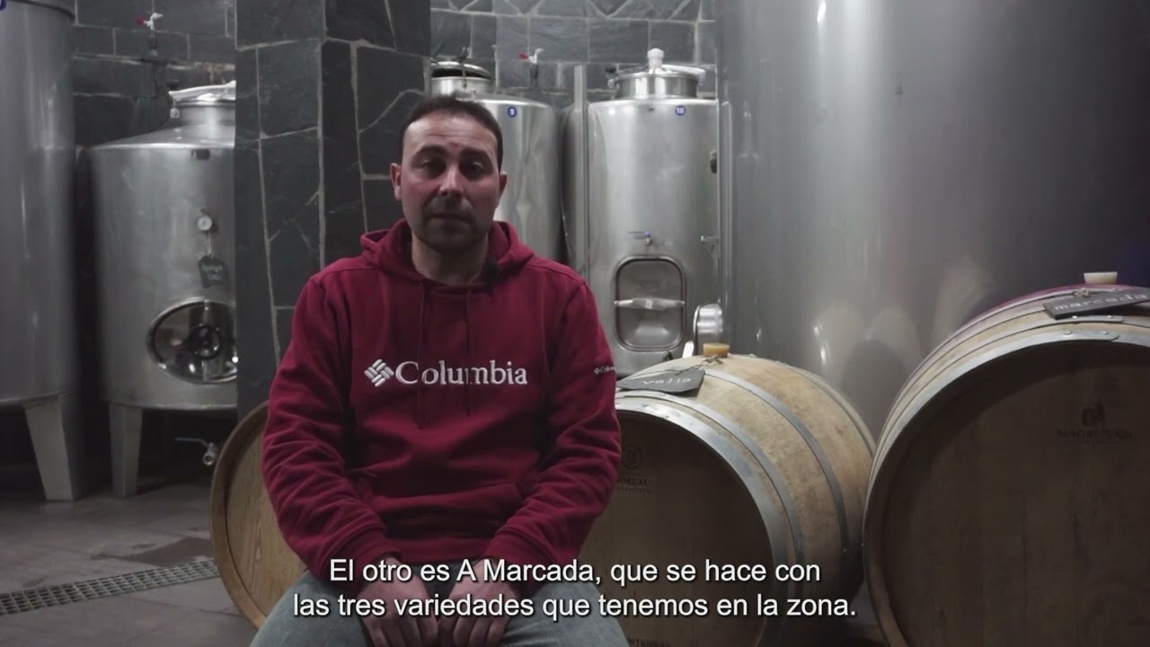 Adega Sidrón | Son de Lugo
