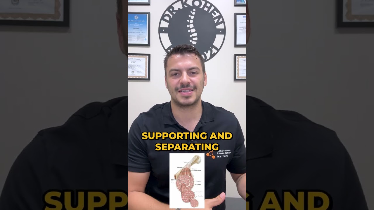 Unlock the Secrets of Fascia: The Body's Hidden Network
