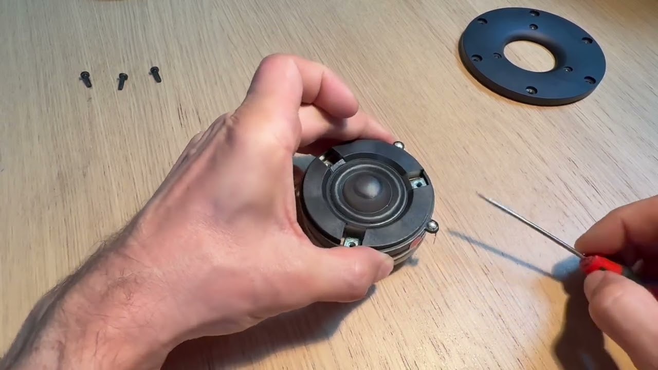 Scan-Speak D2904/710003 disassembly