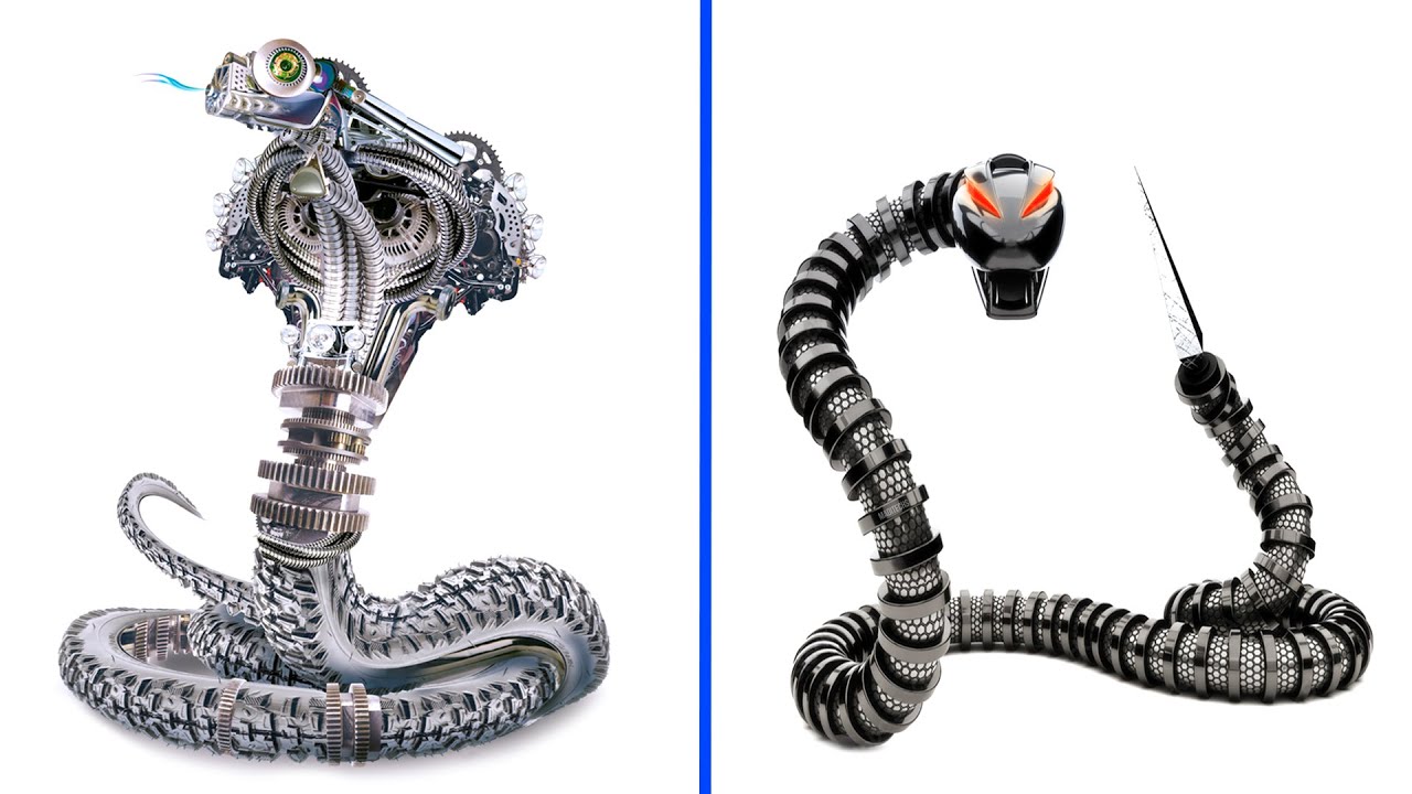 15 Interesting Robot Facts You Should Know - Facts About Robots