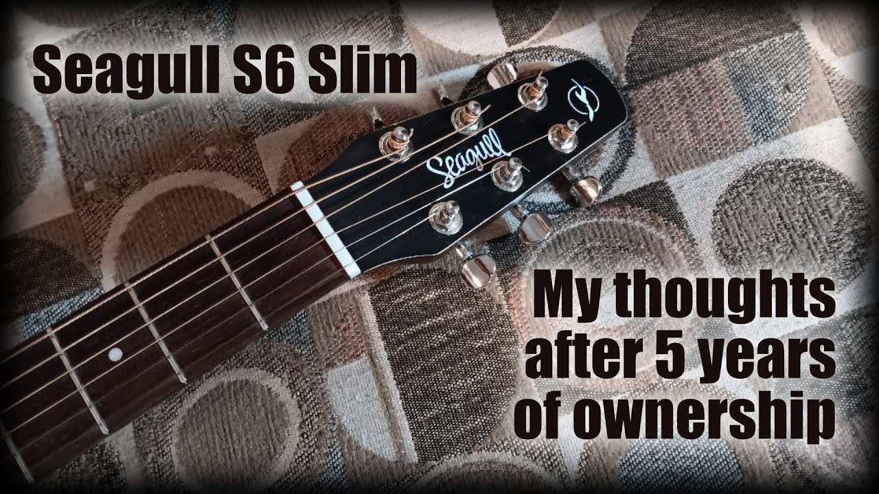 Seagull S6 Slim — мои мысли после 5 лет владения.