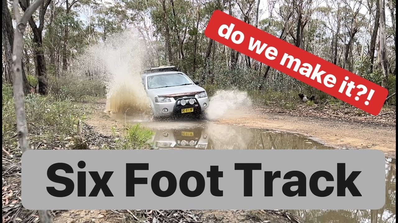 Thrills Spills & Hills | Six Foot Track adventure in the Blue Mountains