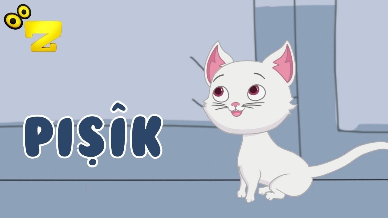 Zarok TV - 🎵 PIŞ&Icirc;K 🎵