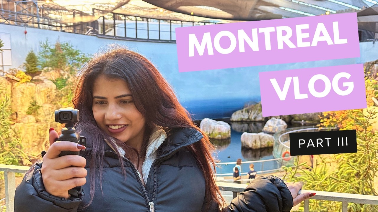 I went to Montreal and found Penguins? Cutest!