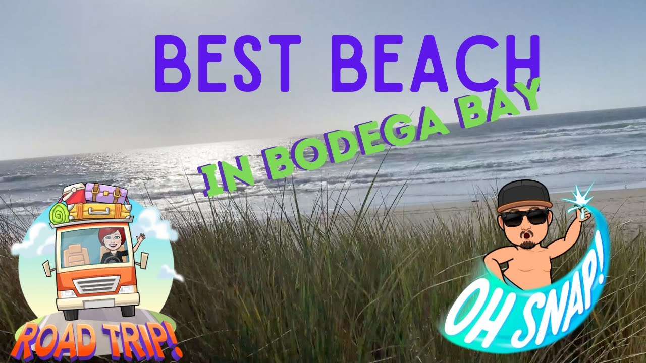 Going to Bodega Bay | You have to go to this beach!