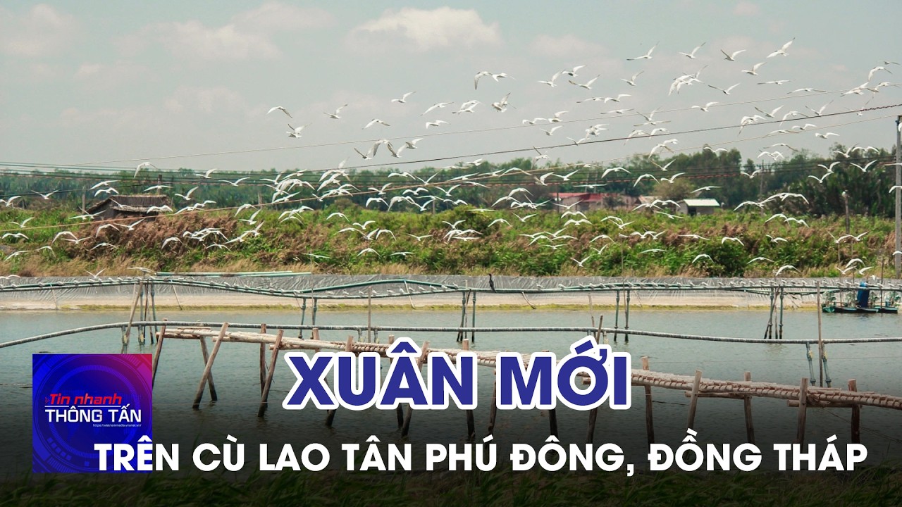Xuân mới trên Cù lao Tân Phú Đông, Đồng Tháp | Tin nhanh Thông tấn