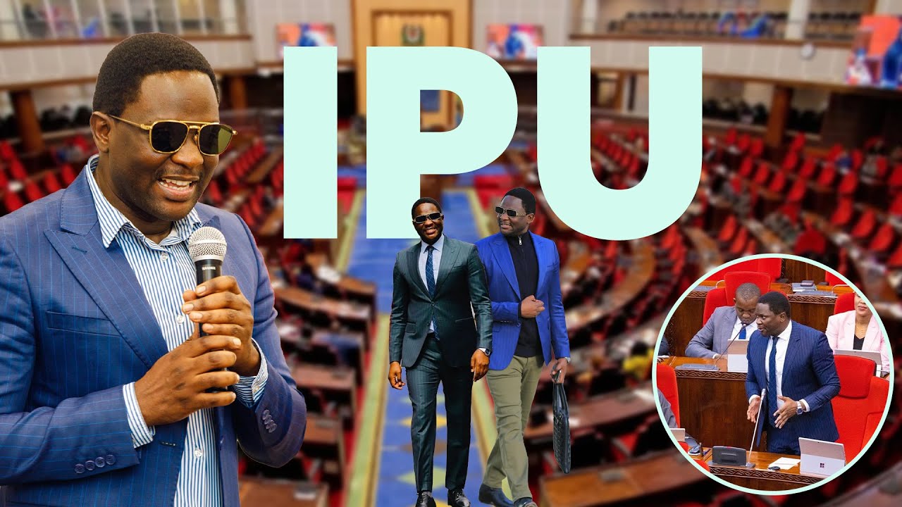 KINGU AIBUKA MSHINDI UWAKILISHI WA BUNGE LA DUNIA (IPU)