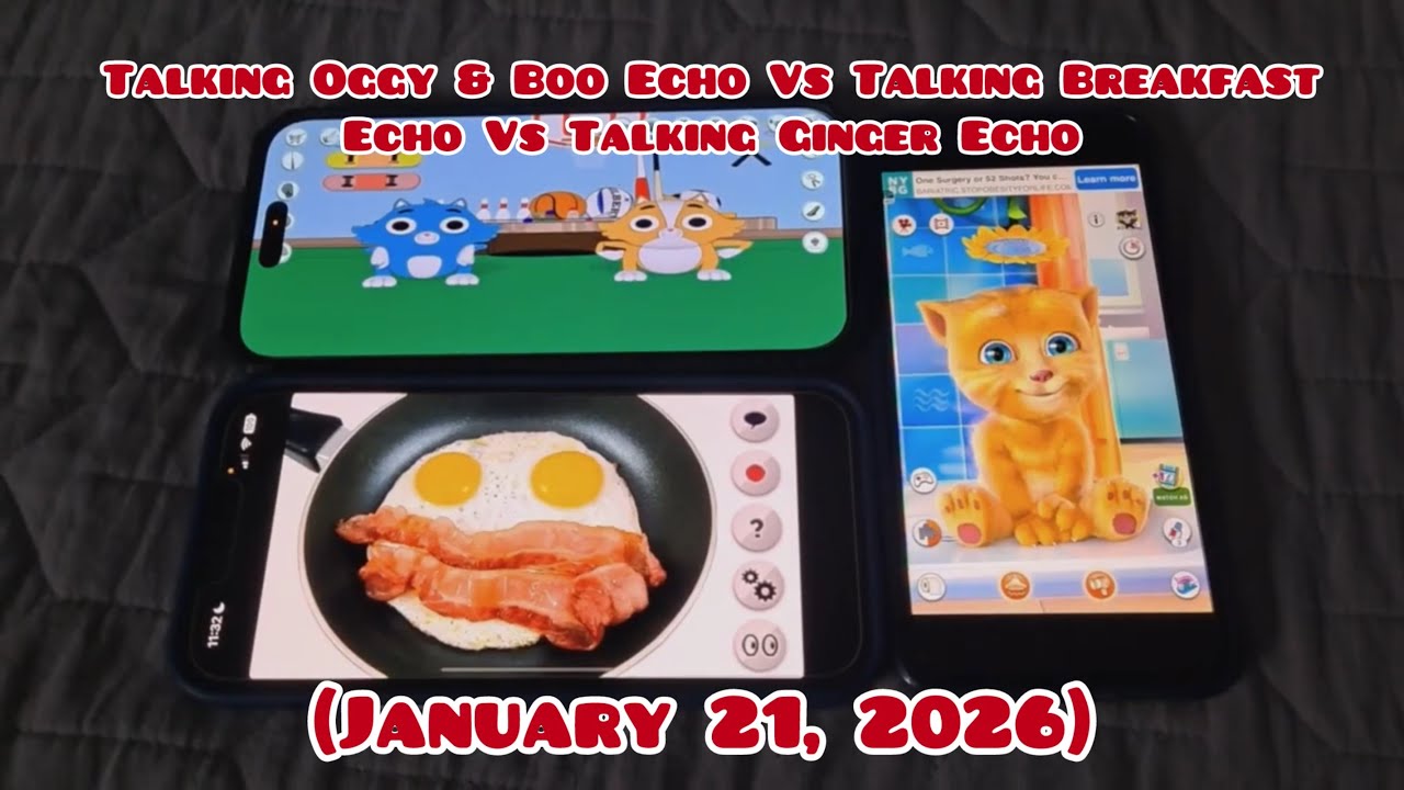 Talking Oggy & Boo Echo Vs Talking Breakfast Echo Vs Talking Ginger Echo (1/21/2026)
