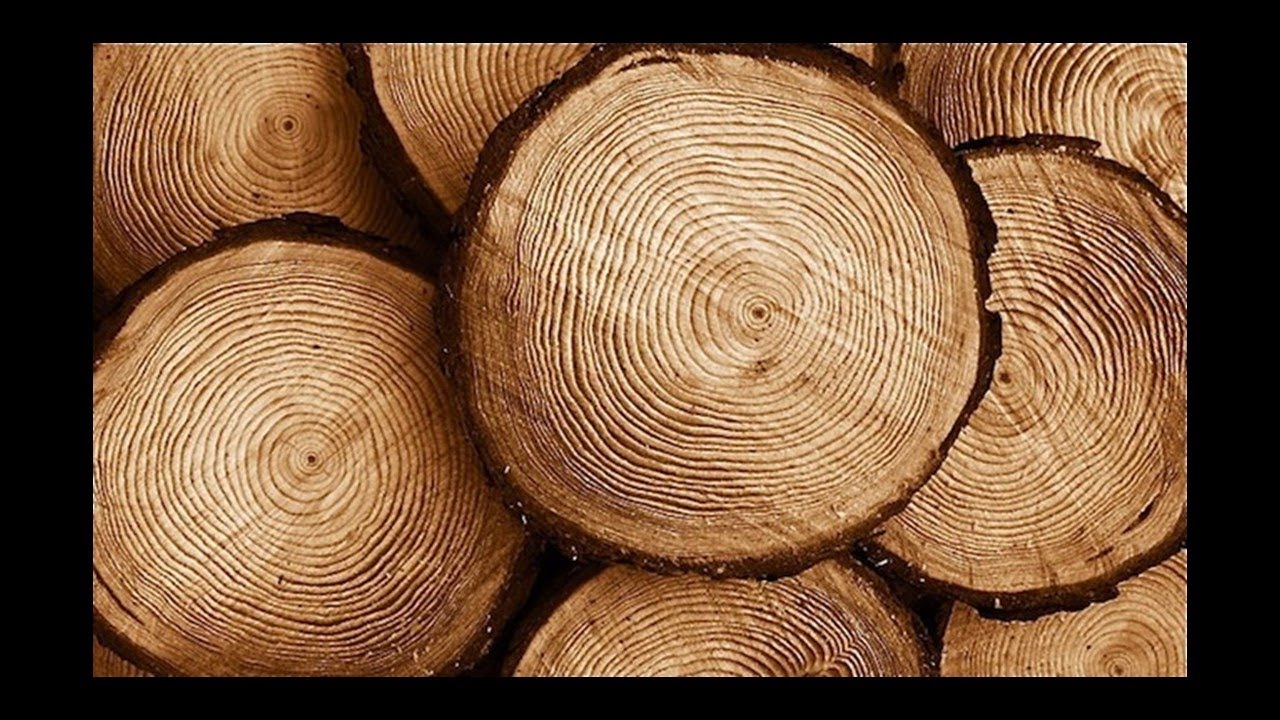 Madera como material estructural
