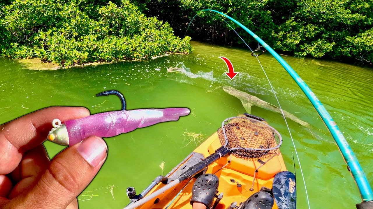FIGHTING OFF SHARKS IN MY KAYAK TO CATCH FISH!! (Everglades Fishing)