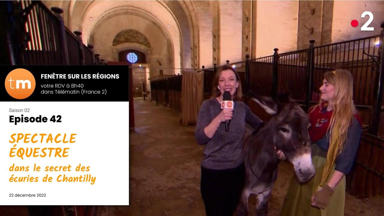 Les spectacles équestres des écuries du Château de Chantilly // Télématin -  France 2