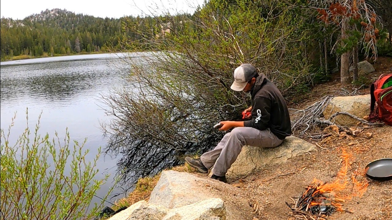 Catch and Cook up in the Mountains! (Multi Species)