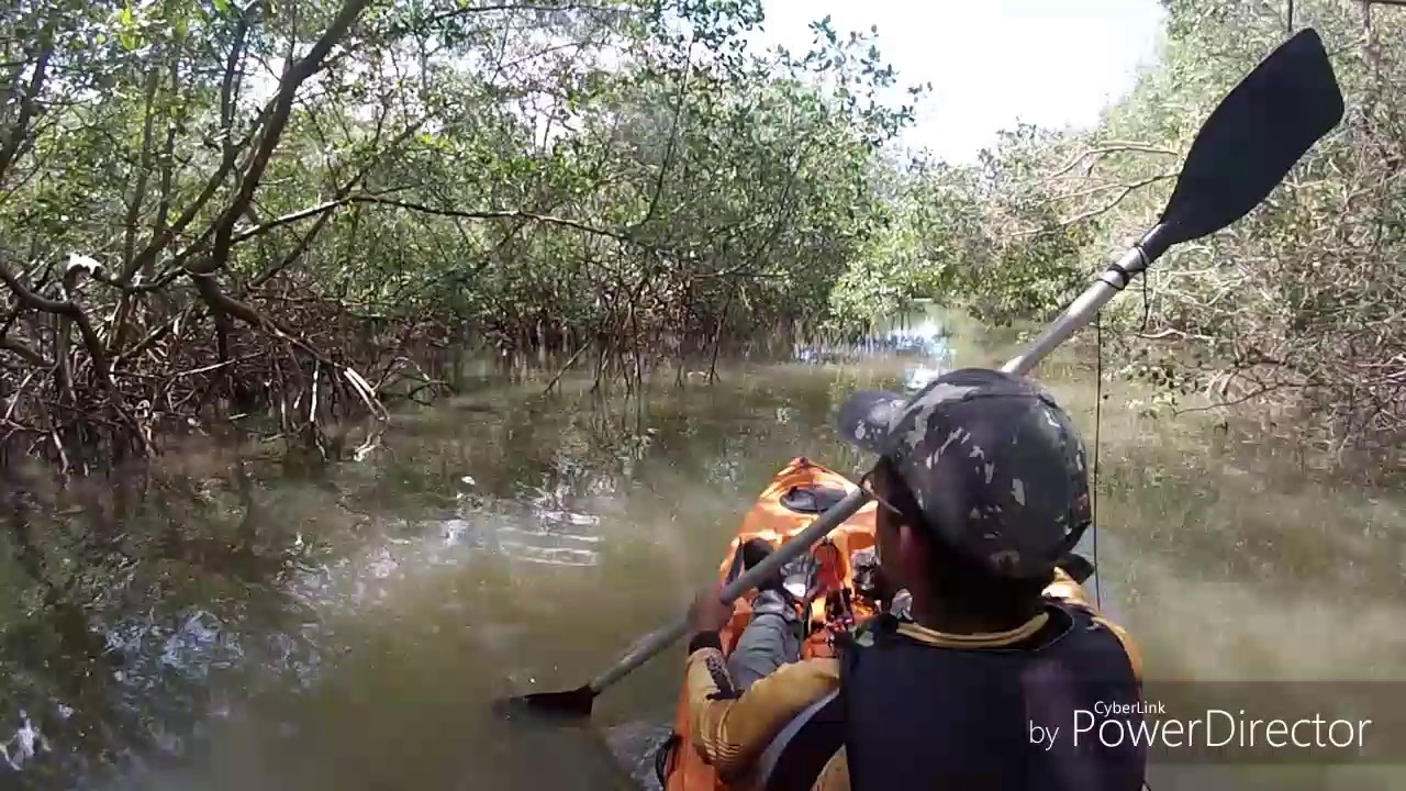 Lugar perfeito - Caiaqueiro Solitário #04