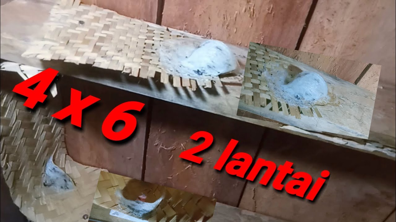 RBW mini 4 x 6 bentuk ruangan di dalam.