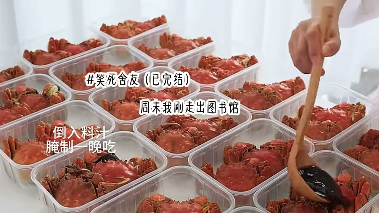 一口气看完：《笑死舍友》———强制回归ಥ_ಥ