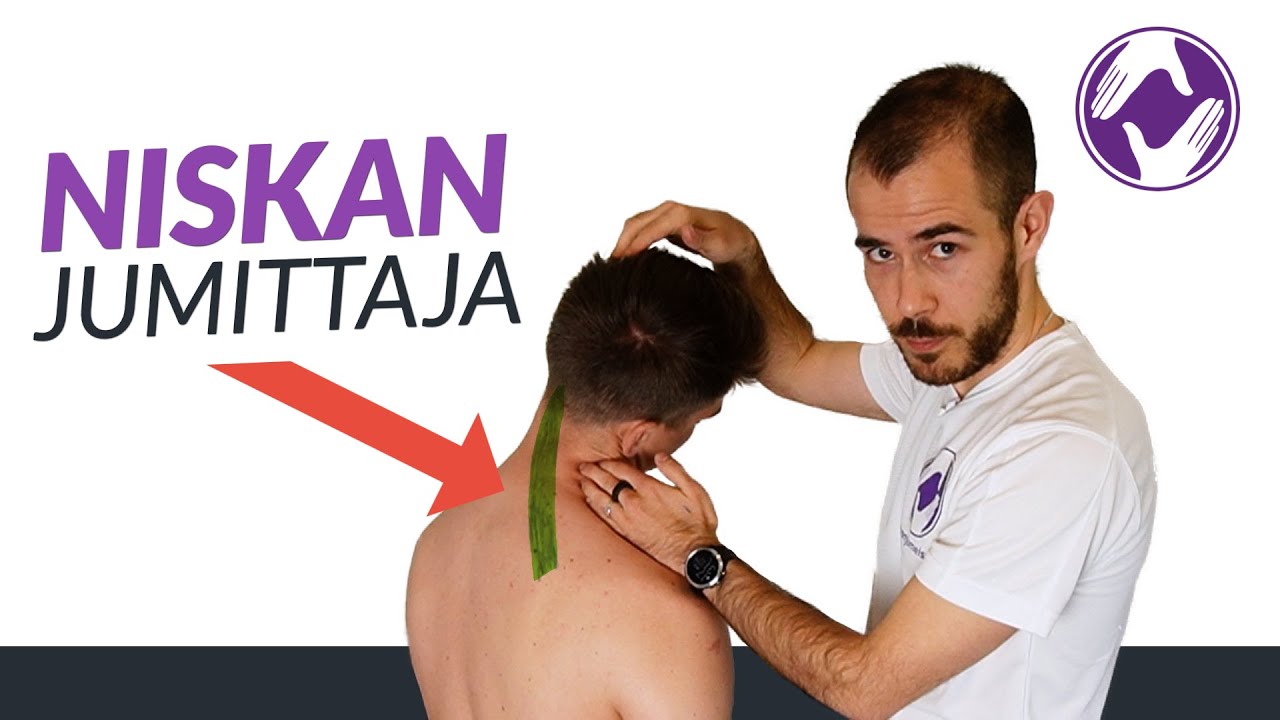 Tämä lihas jumittaa niskan