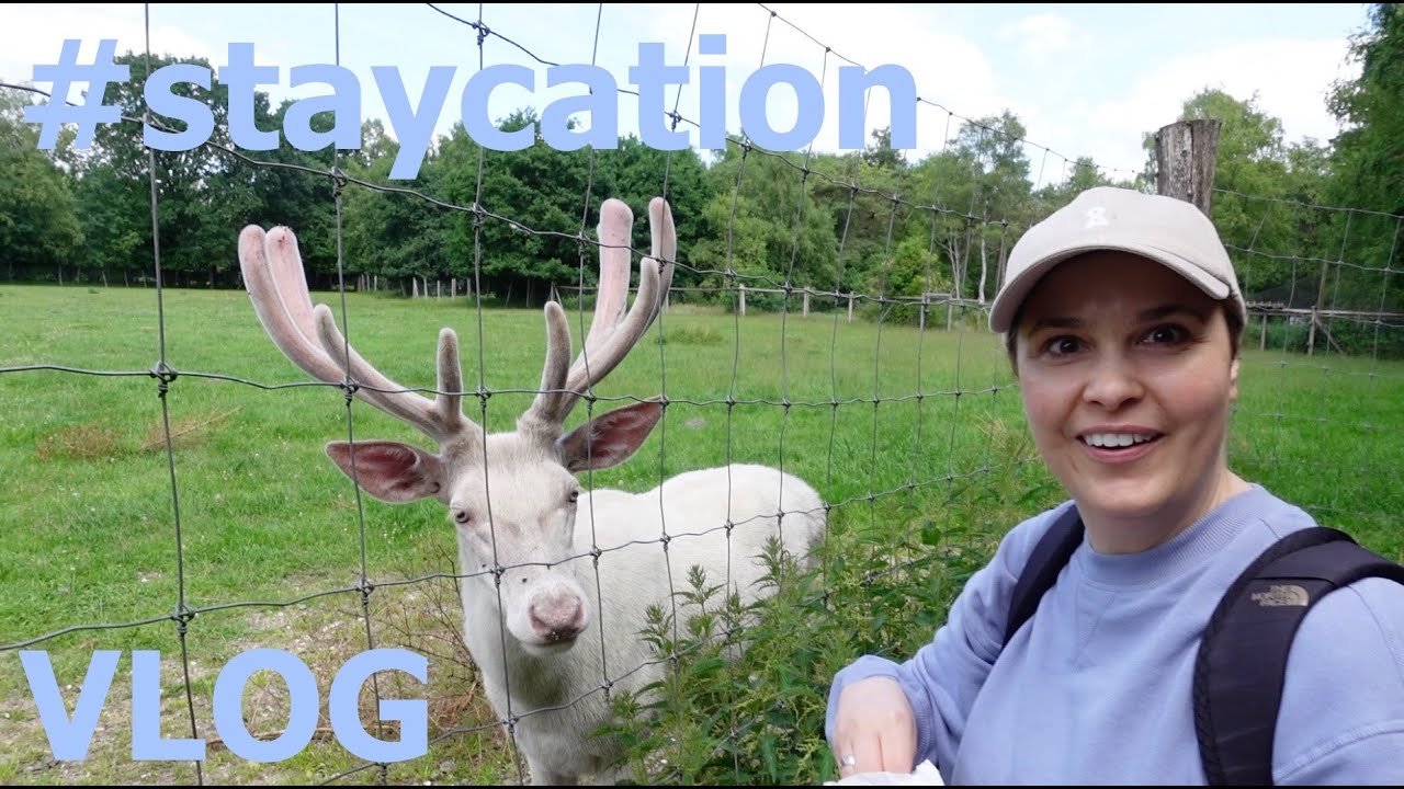 Redecoration | Wildlife Park | Carpet disaster | vlog | Julie von Moette