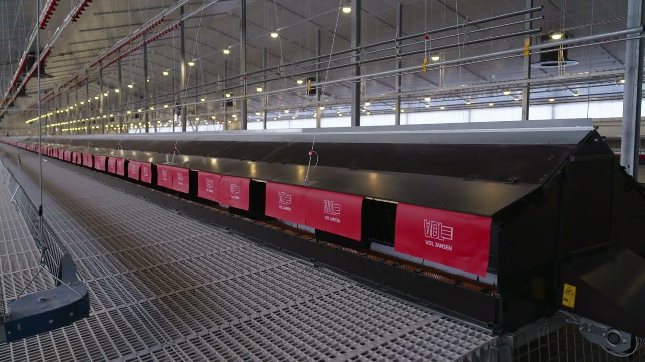 Project Video: Two Broiler Breeder Houses – Poultry Systems by VDL