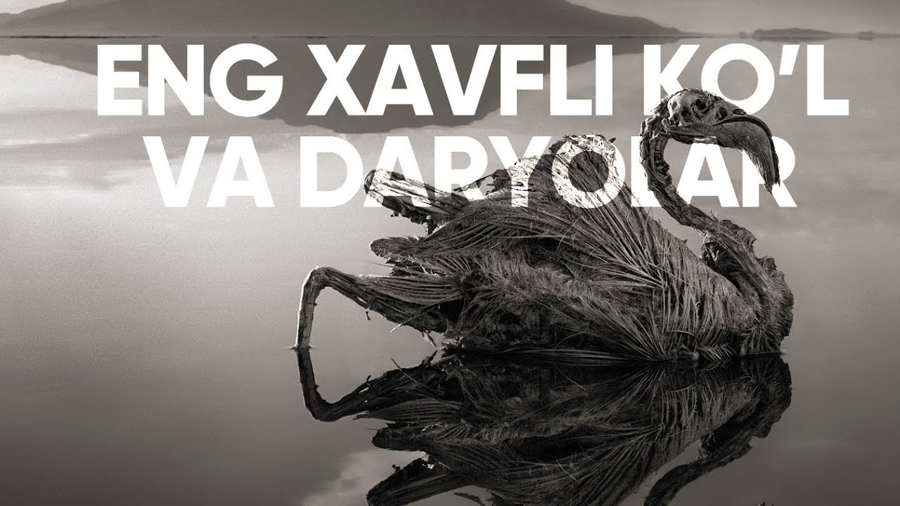 O’lim suv havzalari. Eng xavfli ko'l va daryolar