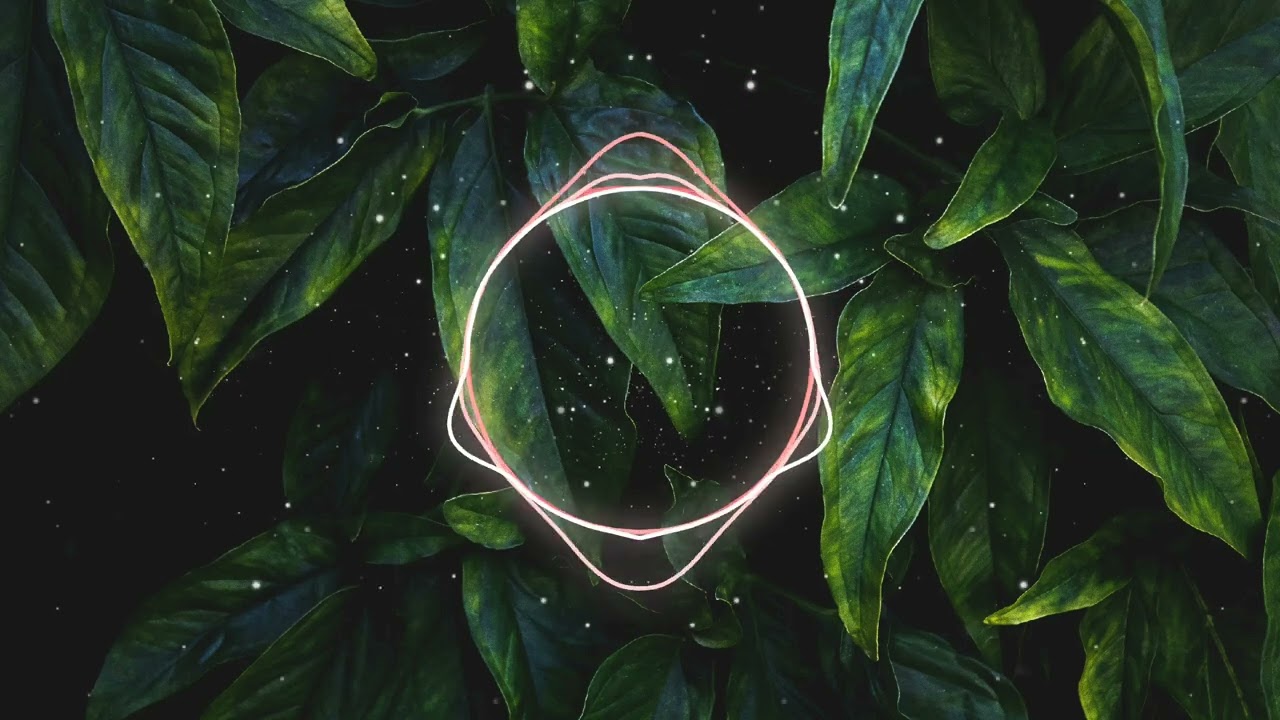526