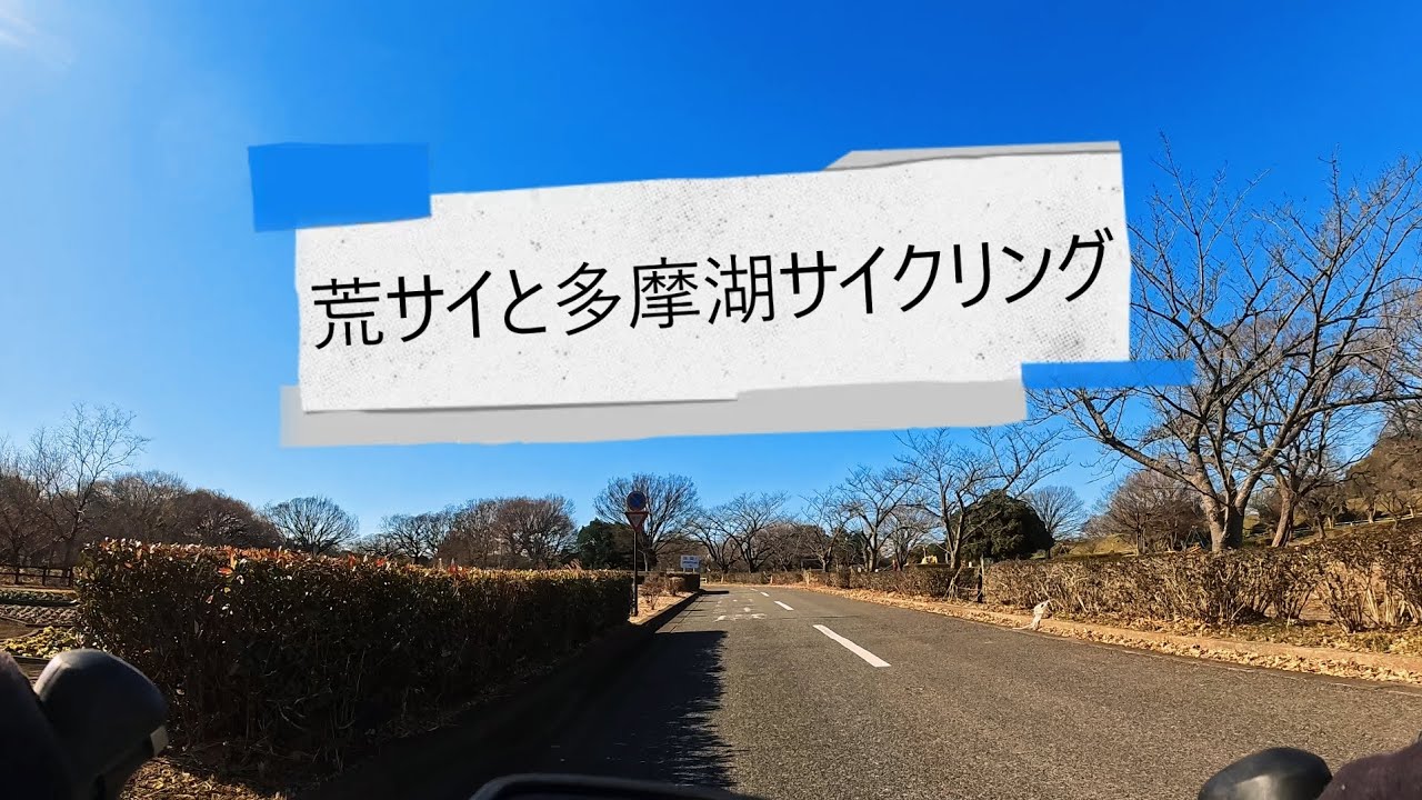 荒サイと多摩湖