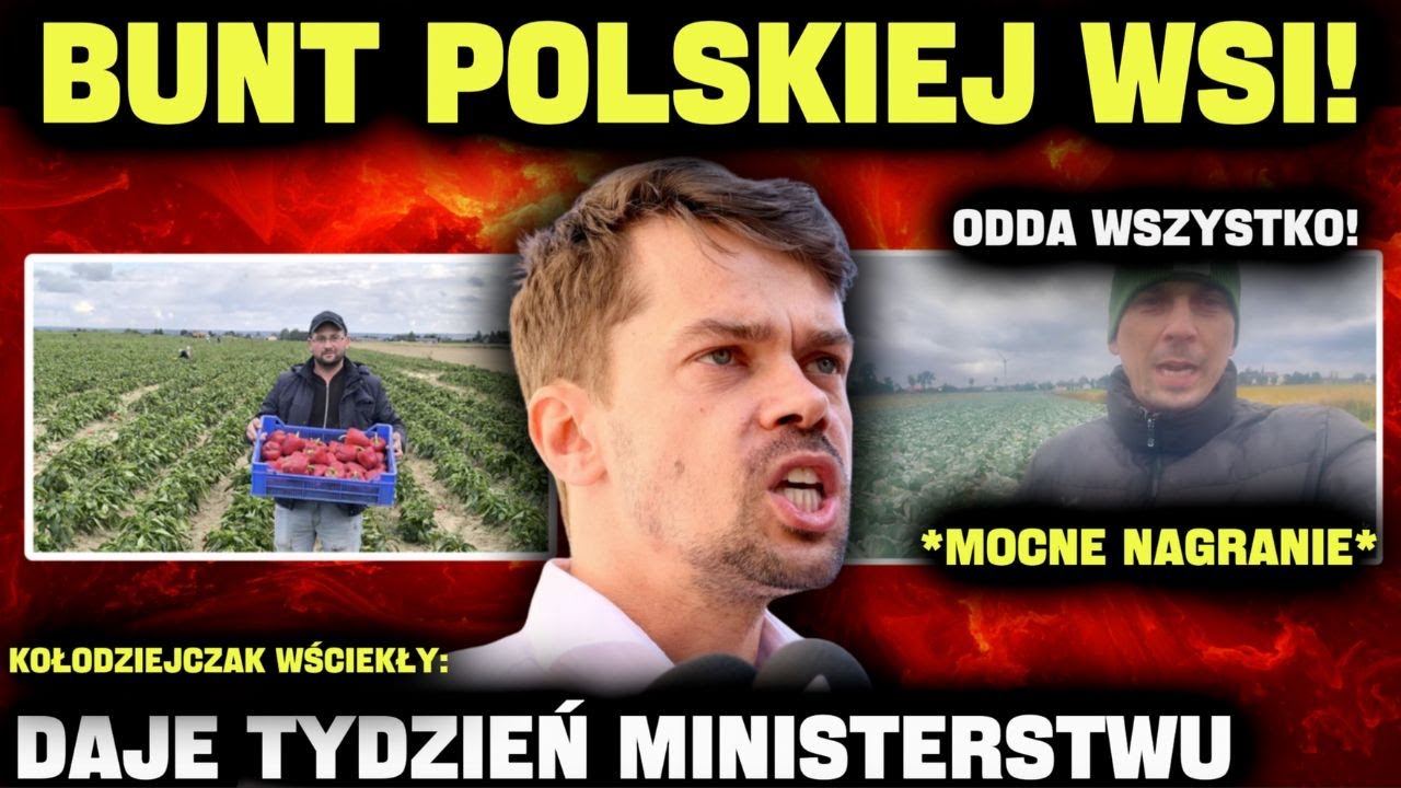 Wieś EKSPLODOWAŁA! KAPUSTA za darmo! ROLNICY BANKRUTUJĄ - walka o przetrwanie TRWA!