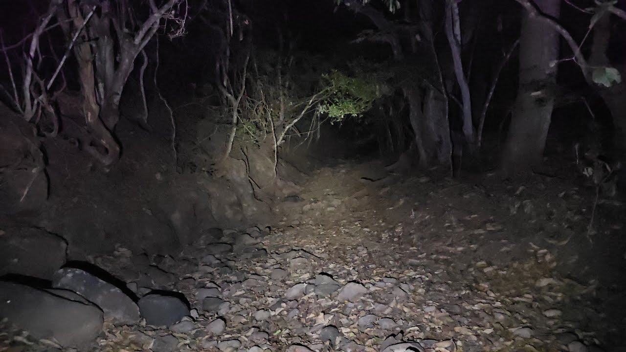 Bastante Actividad Paranormal registrada en éste Video 👉 👇 ➡️ 😱 🔥 ✅️ 