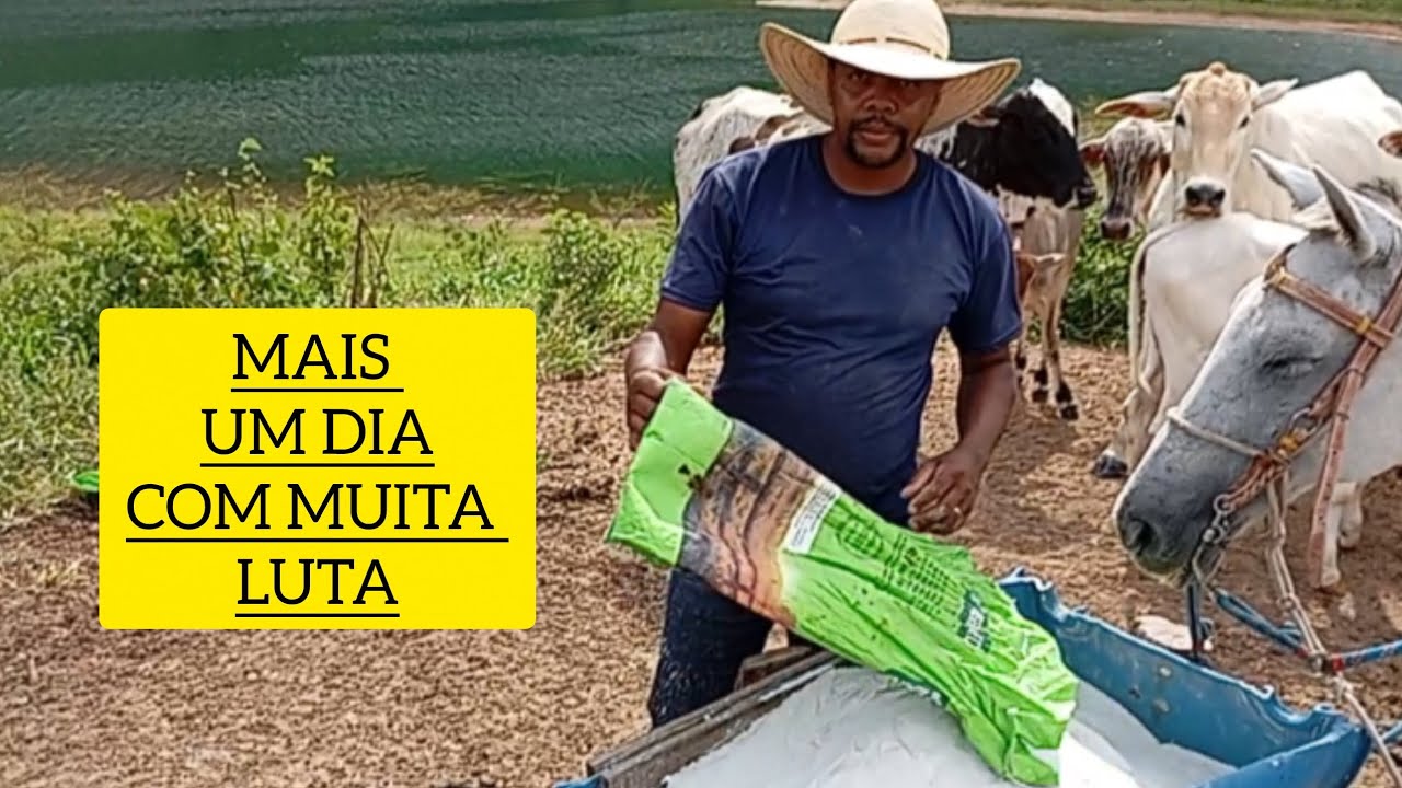 ELE VIVE A MODA ANTIGA NO MEIO DAS MONTANHAS DA SERRA DA CANASTRA E TIRA LEITE @Pedro_rodrigies_3