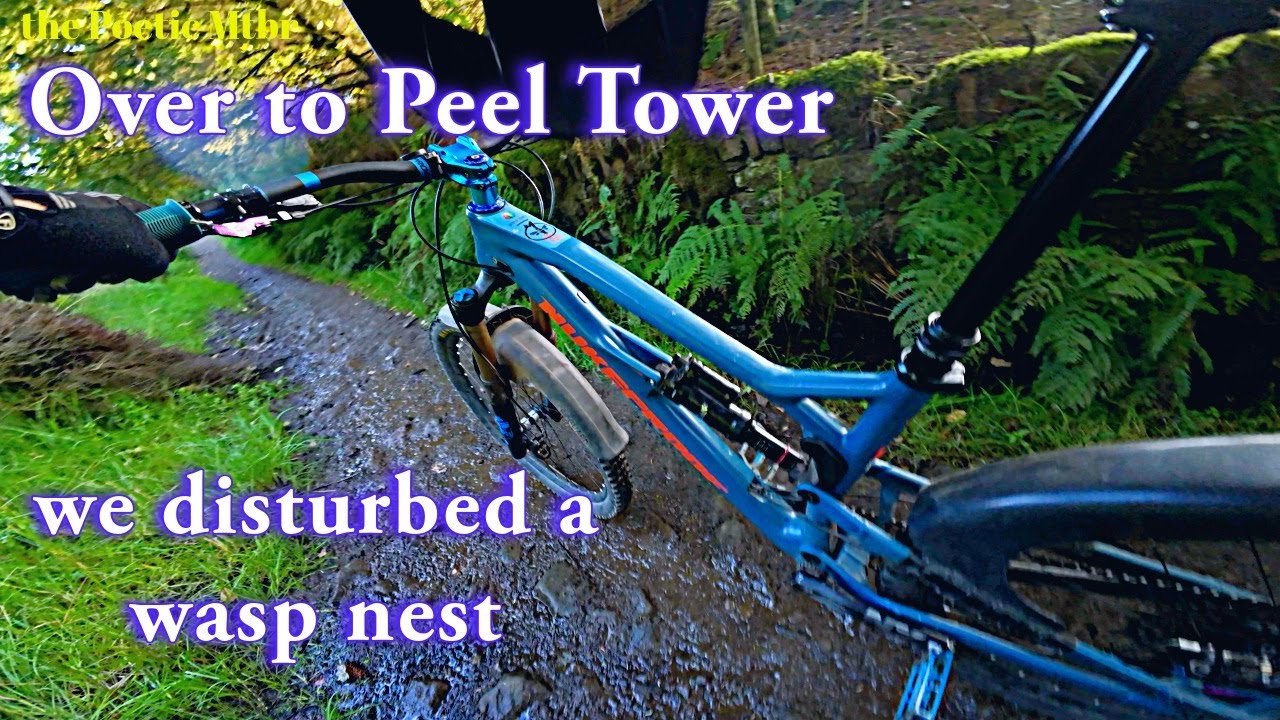 Mountain Biking Peel tower and wasp stings BOY WERE THEY AGGRESSIVE