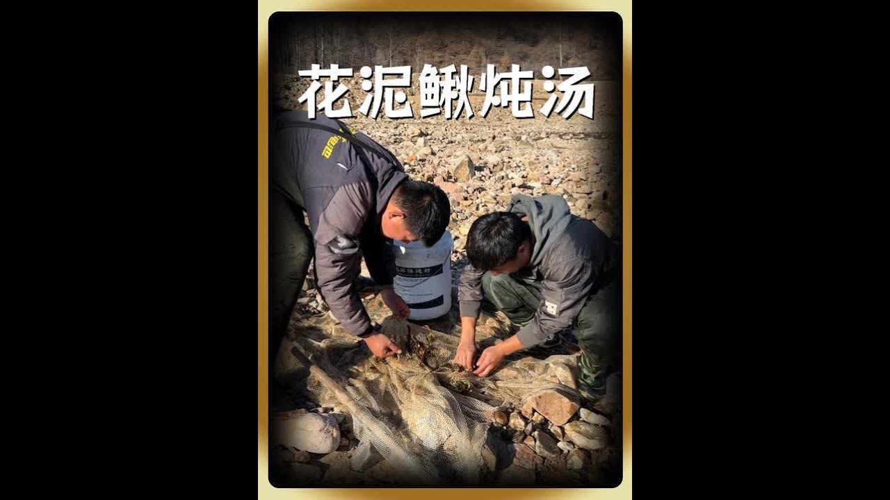 据说朝鲜族花泥鳅汤挺好喝，我们必须冻手抓点回来尝尝#记录我的农村生活 #抓泥鳅