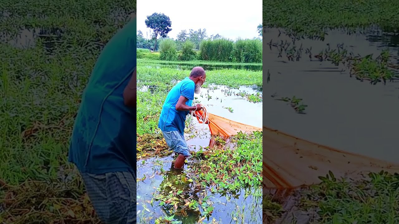 Most Amazing Cast Net Throws - River Fishing Video - Traditional Village Fisherman&rsquo;s Big Catch