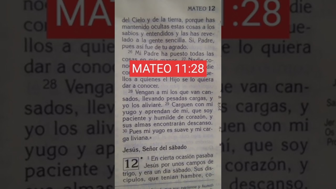 MATEO 11:28 #lospasajesdelabiblia #biblia #palabradeDios