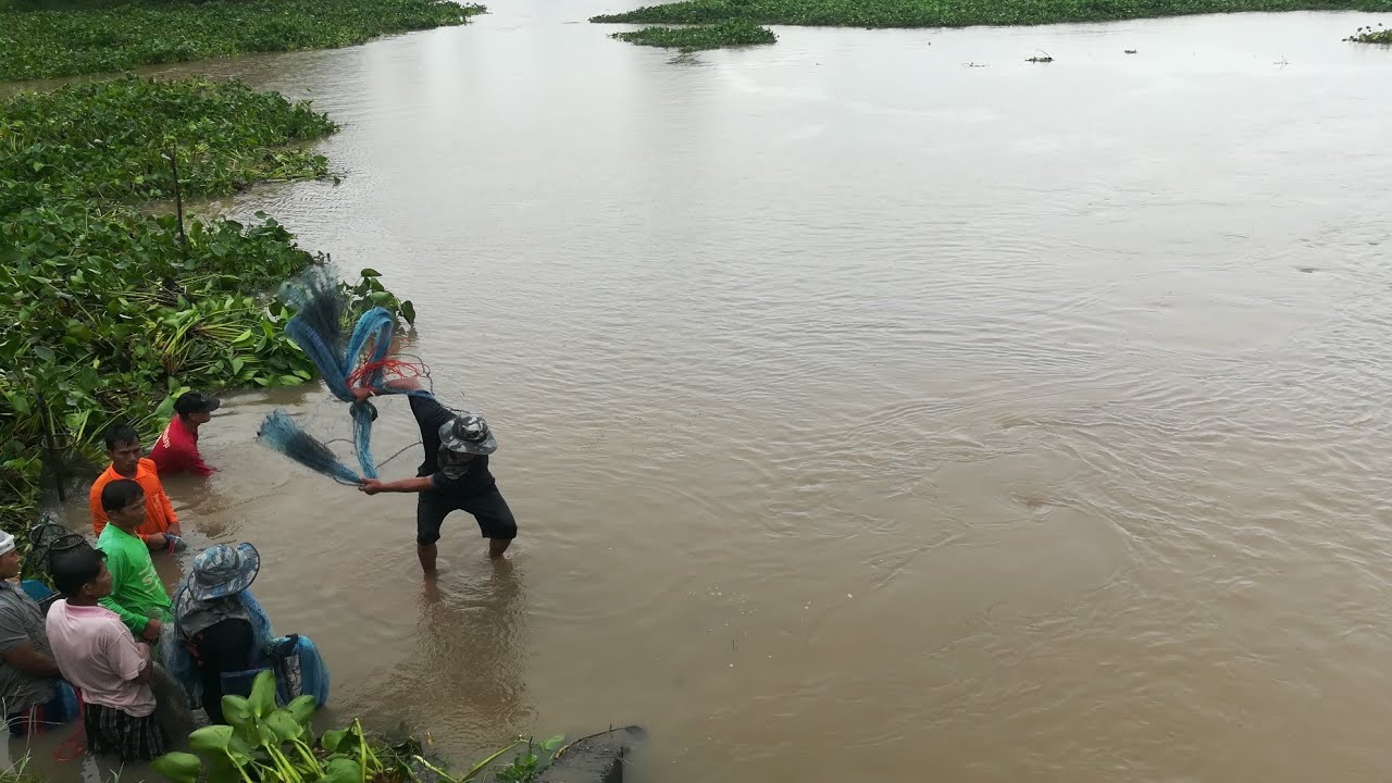 ลีลาการหว่านแห ทอดแห ของเซียนแหอุบลฯ | The Best Beautiful Cast Net Fishing of Thailand | Slow Motion