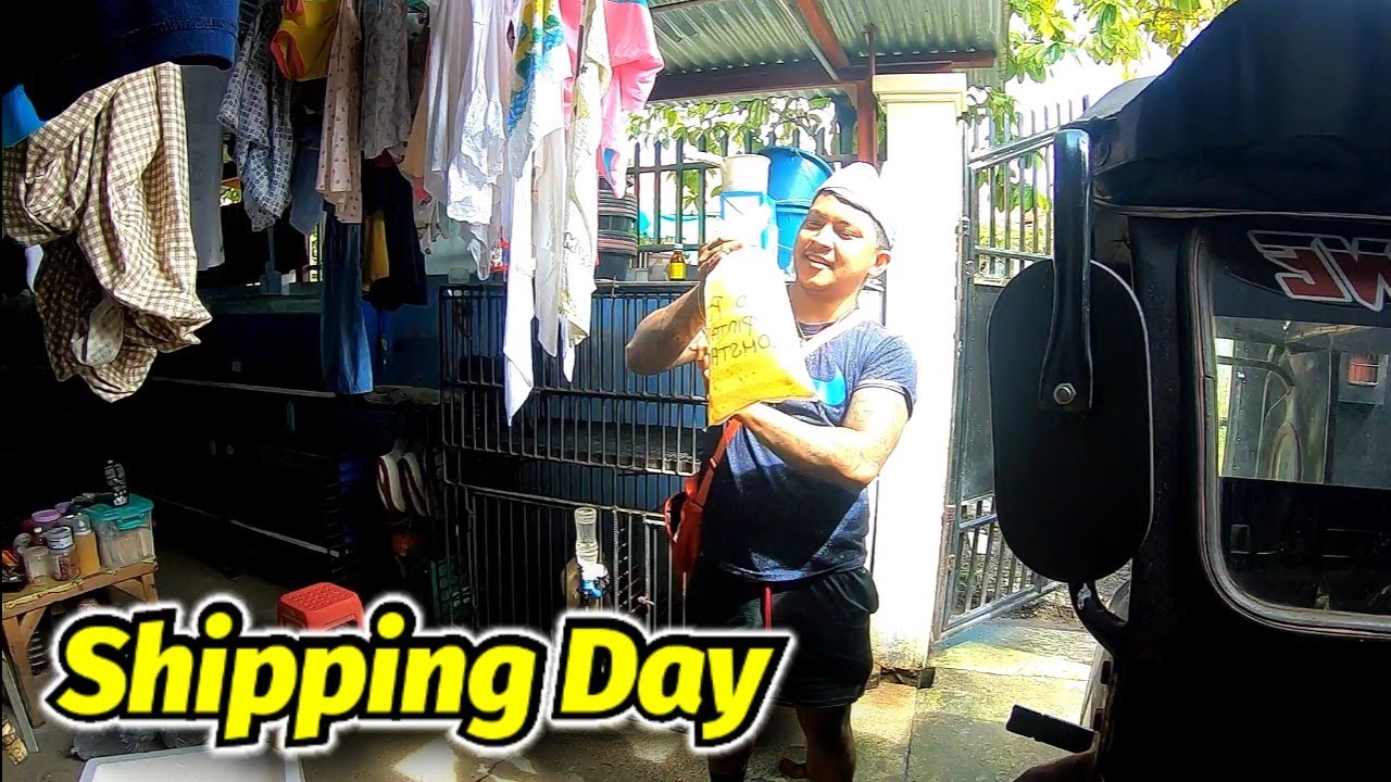 Shipping Day via Essaykay