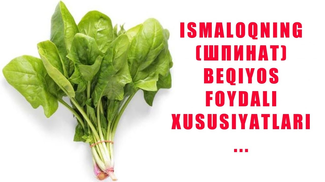 Исмалокнинг Бекиёс Фойдаси !!!