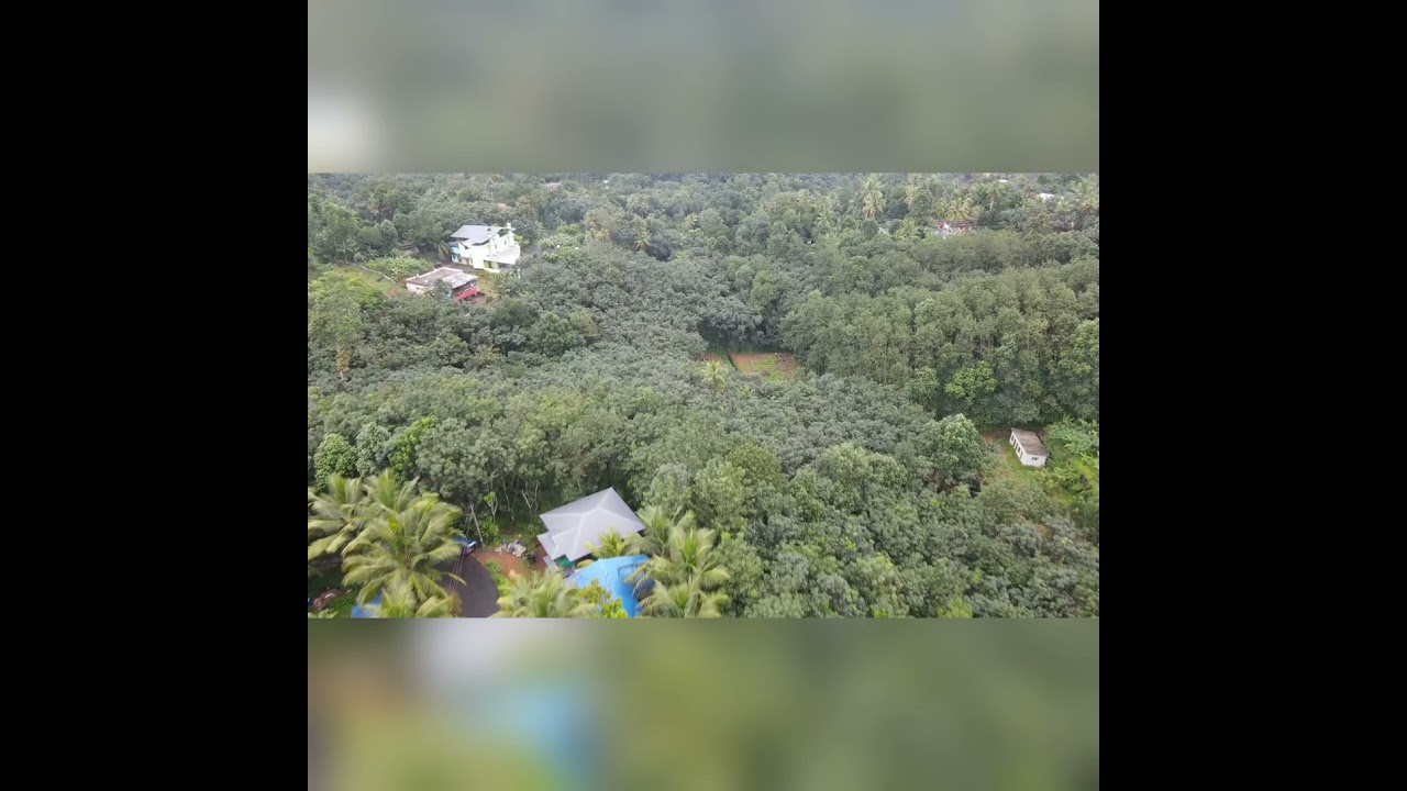 #shorts #droneshot #chittar