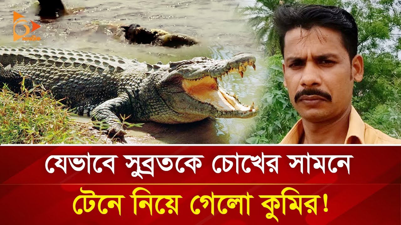 বন্ধুর প্রাণ বাঁচাতে কুমিরের সাথে ধ/স্তা/ধ/স্তি, তারপরও হলো না শেষ রক্ষা! | Nagorik TV Special