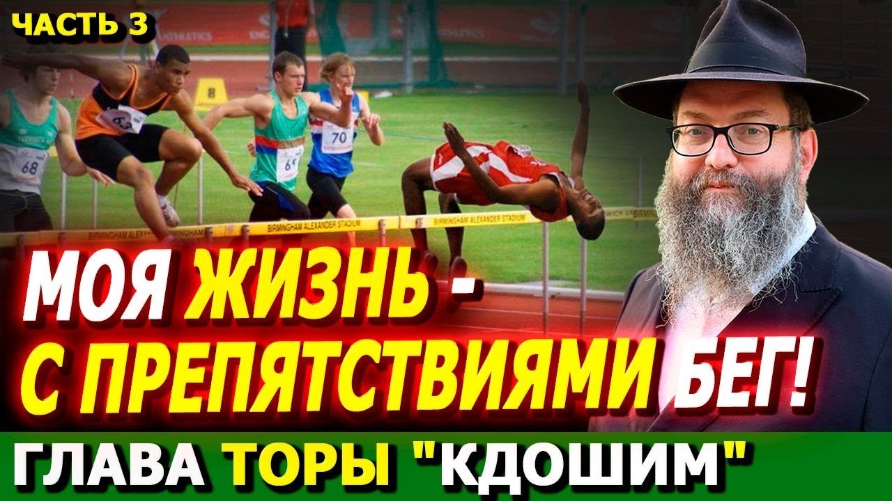 Глава Торы 