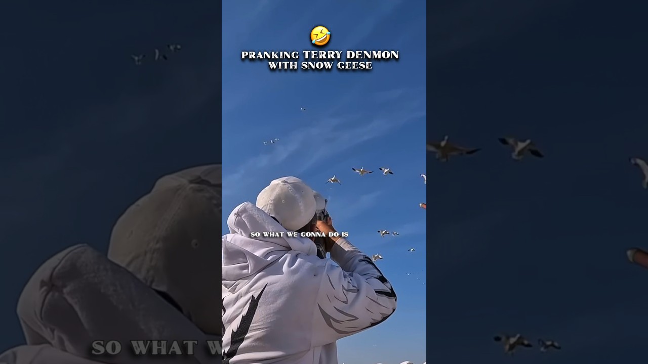 🤣 SNOW GOOSE PRANK #hunt #birdhunting #waterfowl #huntmexico