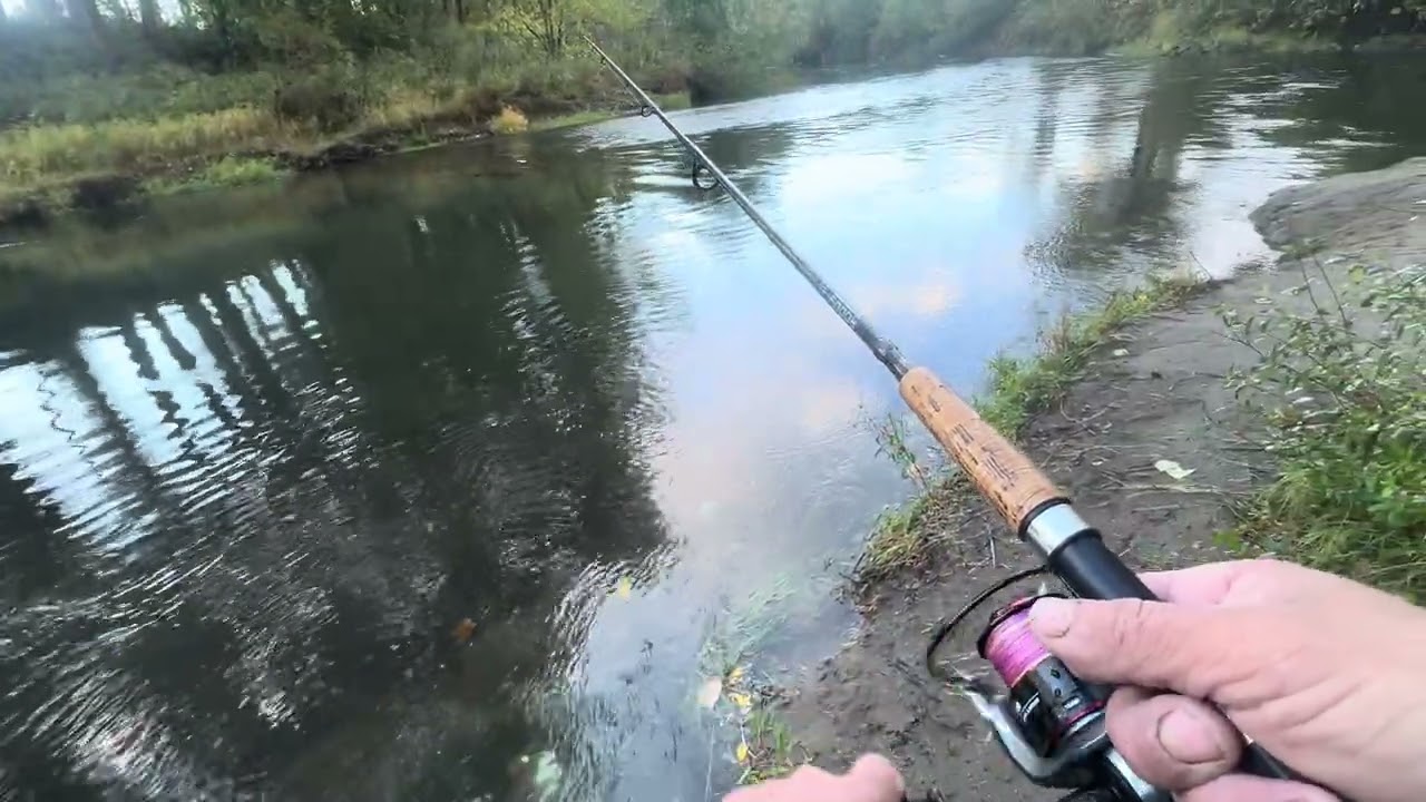 Pink salmon 2025 with my best fishing buddy my son 