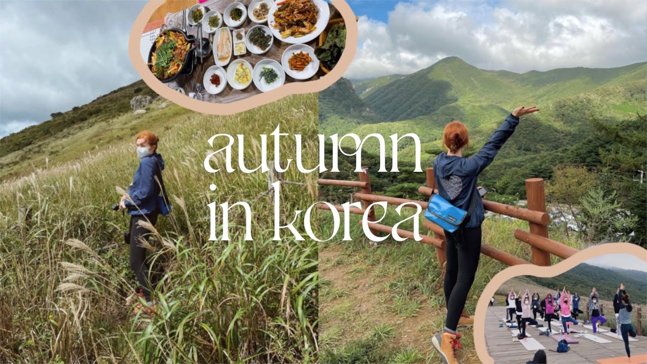 autumn in korea 🌾 hiking in ulsan, making makgeolli, mountain top yoga, my life in korea VLOG