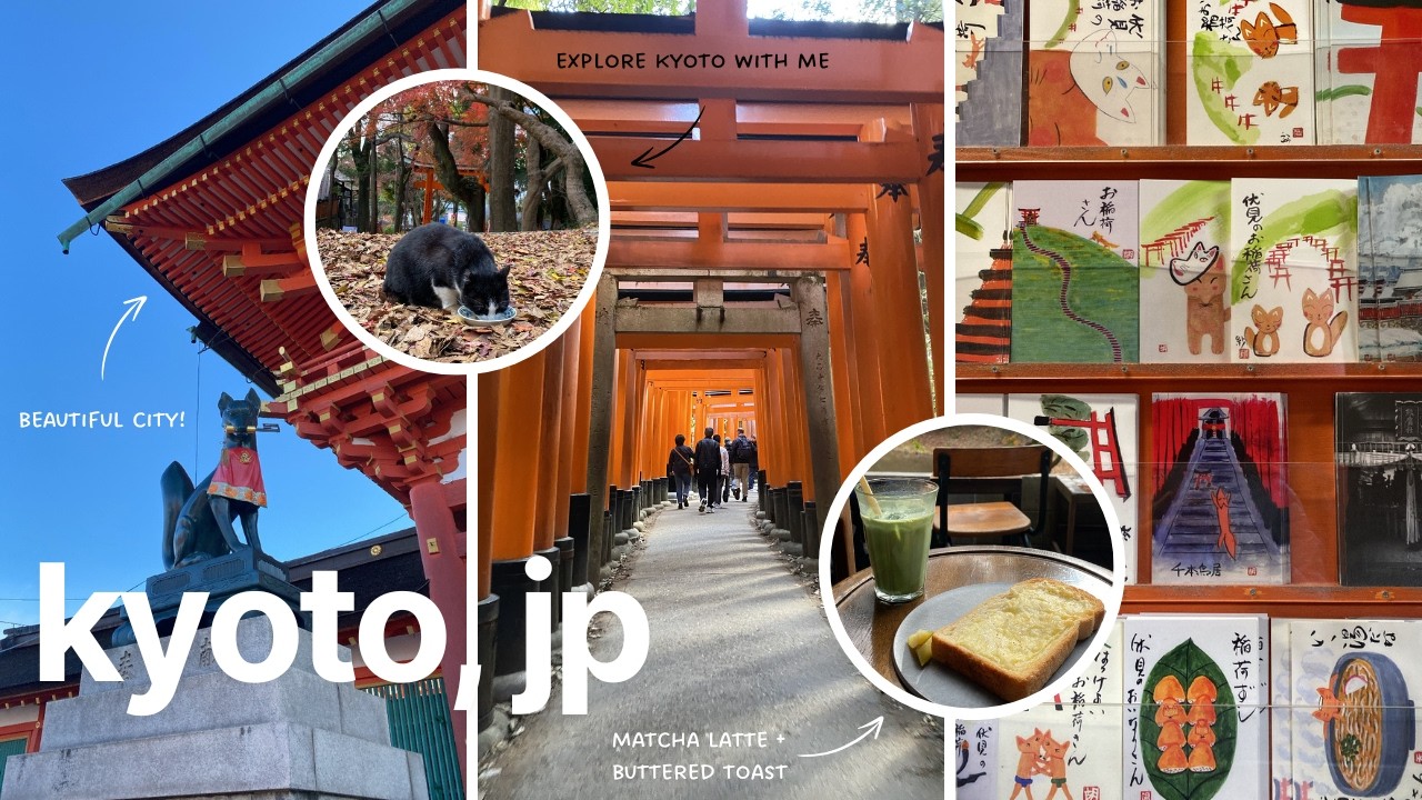 japan diaries episode 6: fushimi inari ⛩️🐈‍⬛ & back to tokyo 🌆