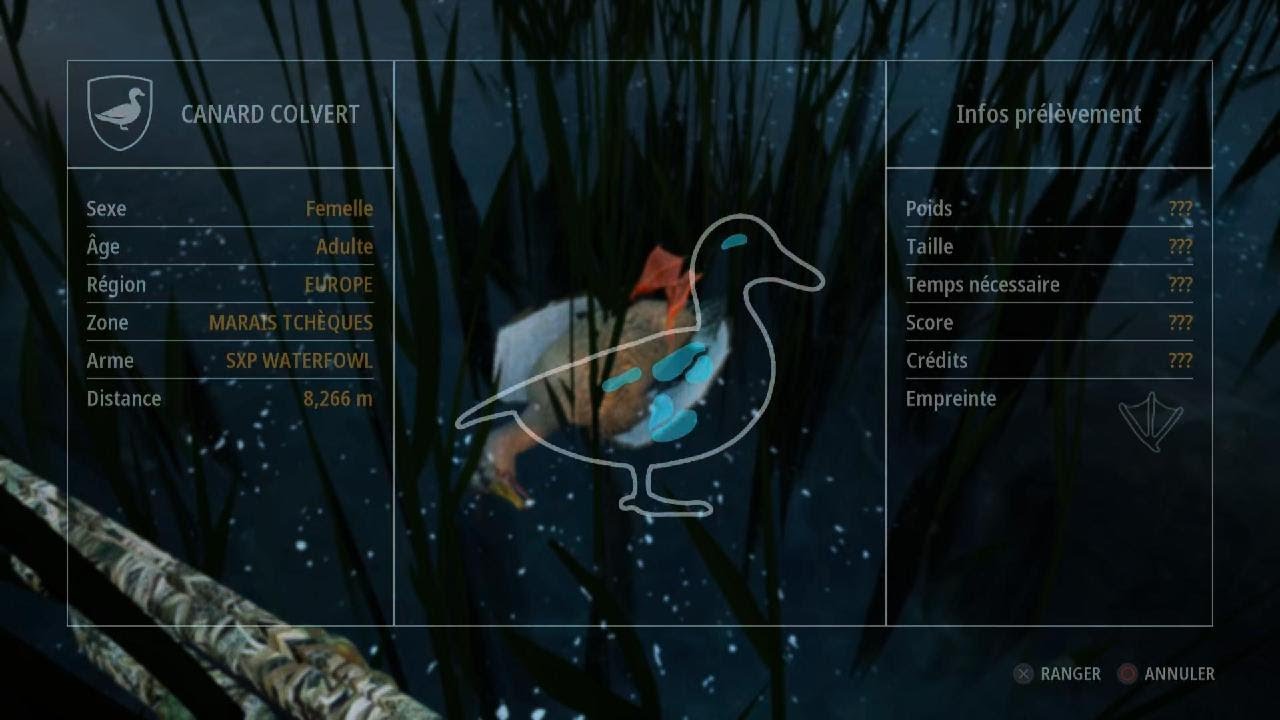 Chasse au canard dans les marais Hunting 2